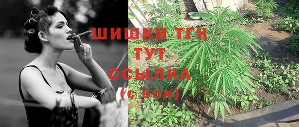 ГАЛЛЮЦИНОГЕННЫЕ ГРИБЫ Баксан