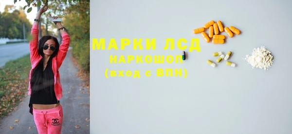 прущие грибы Балабаново