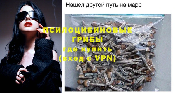 ГАЛЛЮЦИНОГЕННЫЕ ГРИБЫ Баксан