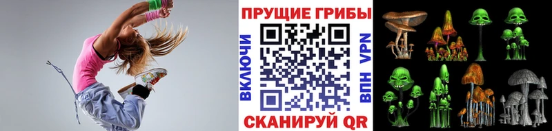 дарнет шоп Новокубанск Галлюциногенные грибы прущие грибы